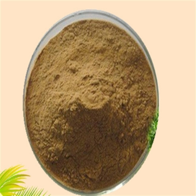 Dobra cena. CAS 84604-15-9 Serenoa Serrulata Ekstrakt owocowy ISO Factory Saw Palmetto Extract w Internecie