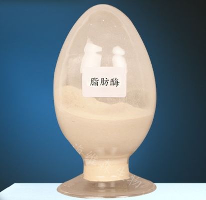 Dobra cena. Enzym lipazy CAS 9001-62-1 do metabolizmu lipidów, czystość 99% w Internecie