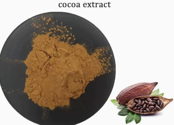 Dobra cena. CAS 84649-99-0 Ekstrakt z kakaowca Theobroma do ekstraktu kakaowego w żywności i napojach w Internecie