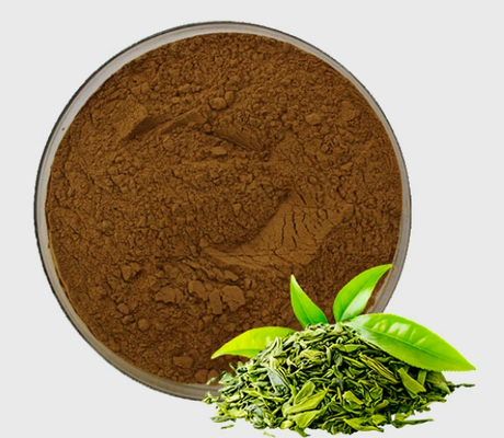 Dobra cena. Naturalny ekstrakt z zielonej herbaty CAS 84650-60-2 Polifenol herbaty w proszku w Internecie